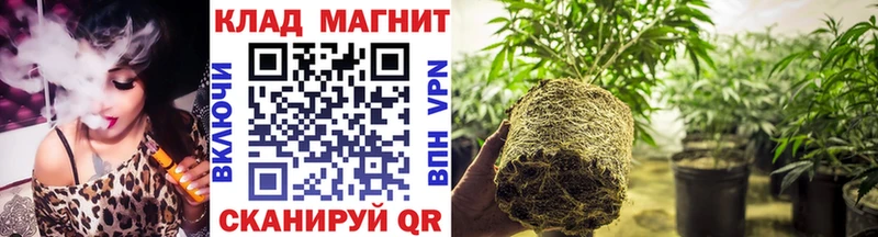 Хочу наркоту Ульяновск ГАШИШ COCAIN Меф мяу мяу