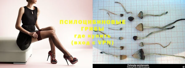 не бодяженный Осинники