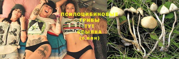 mdma Осташков