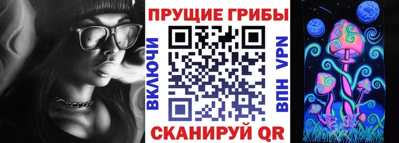 Псилоцибиновые грибы прущие грибы  shop какой сайт  Ульяновск 