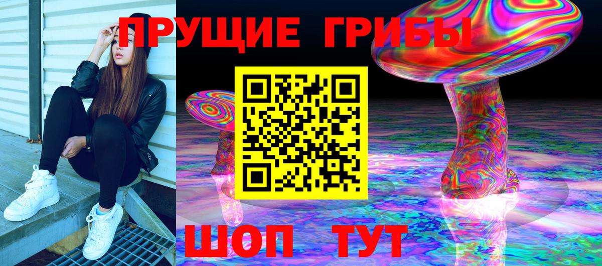 купить наркоту  Вход с VPN  Псилоцибиновые грибы прущие грибы  Ульяновск  Псилоцибиновые грибы мицелий 